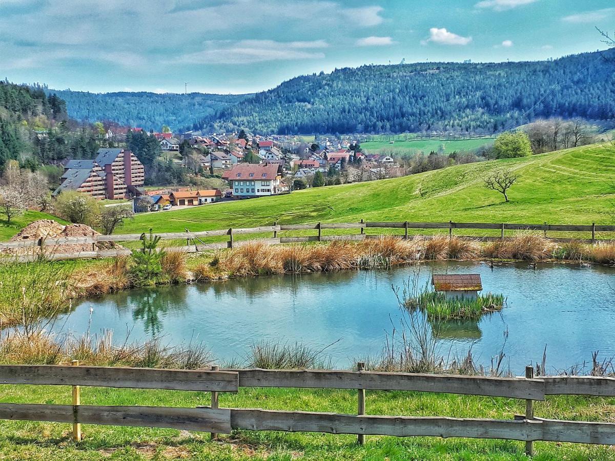 Schwarzwald Woelkchen Apartment Baiersbronn Luaran gambar