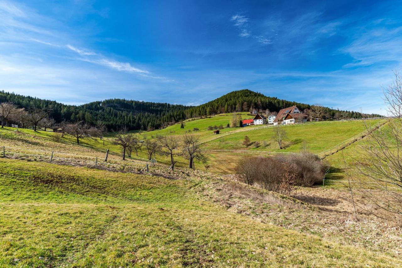 Schwarzwald Woelkchen Apartment Baiersbronn Luaran gambar